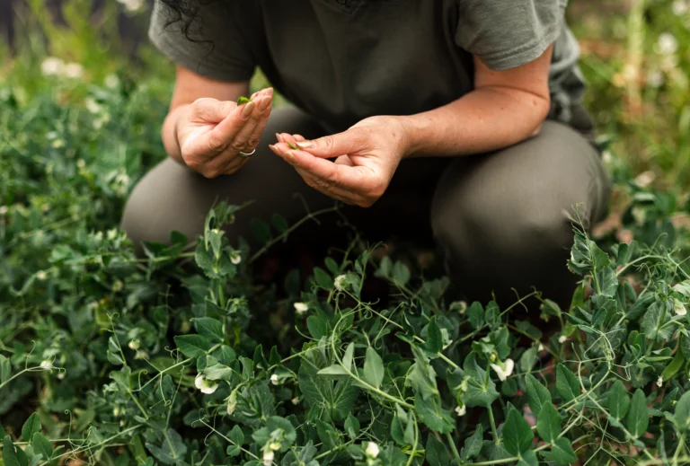 close-up-woman-caring-plants
